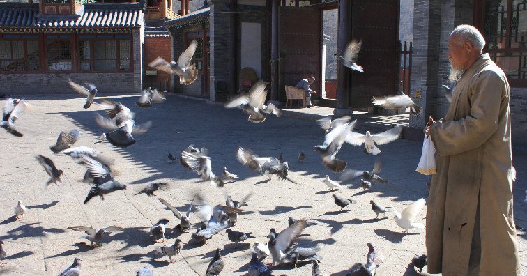 le mont au cinq terrasses