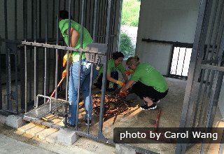 Mt. Everest . Potala Palace . Travel Permit
