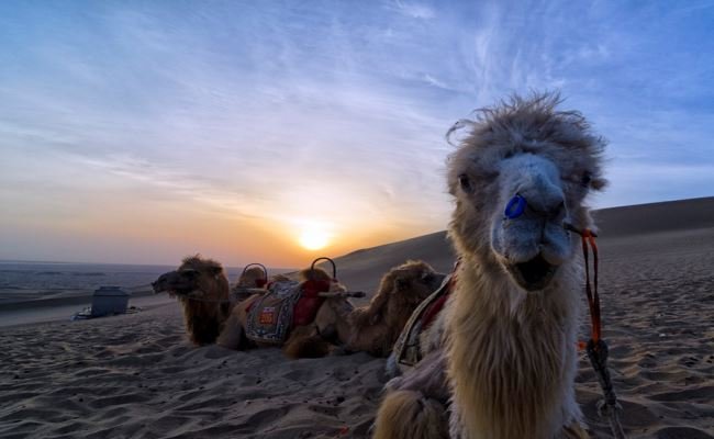 Dunes de Mingsha