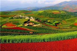 Terres rouges de Dongchuan