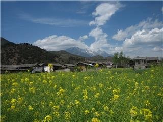 Lijiang au printemps
