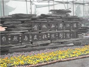 Barrage Dujiangyan