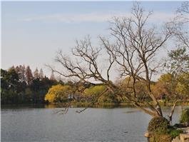 hangzhou