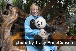 Prendre une photo avec Panda
