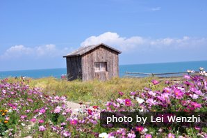 Lac Qinghai