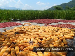 Voyagez en traçant votre propre itinéraire pour explorer la vie et la culture locales.