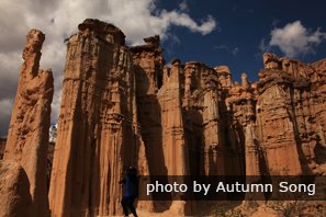 Forêt de terre de Yuanmou