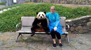 Visiter Chengdu pour voir les pandas géants