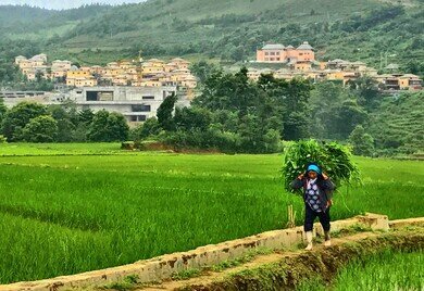 À  la découverte du Yunan