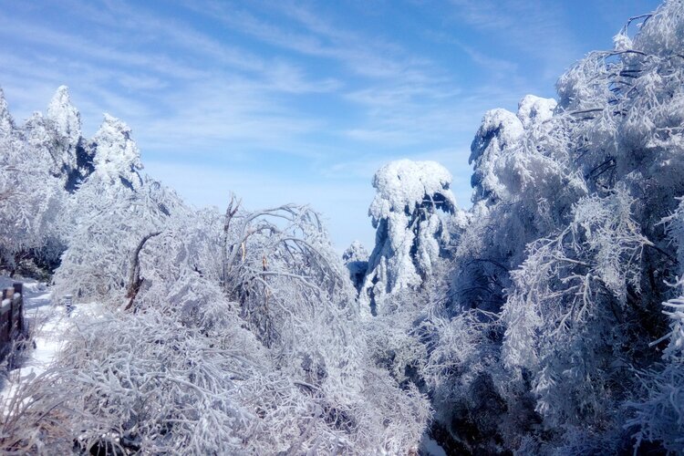 Les Monts Huang en hiver