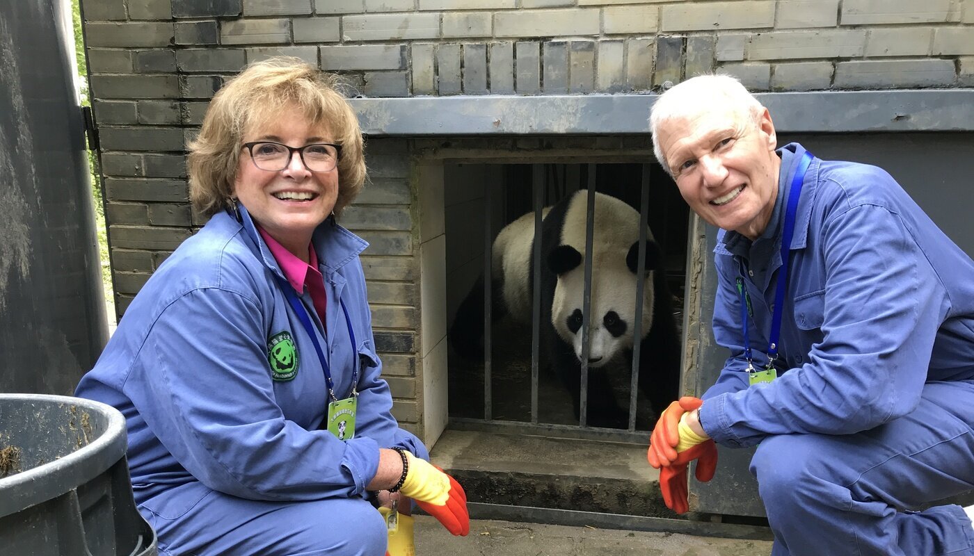 Base de recherche sur le panda géant