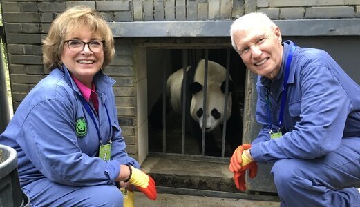 Circuit chine 21 jours