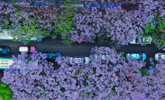 Kunming